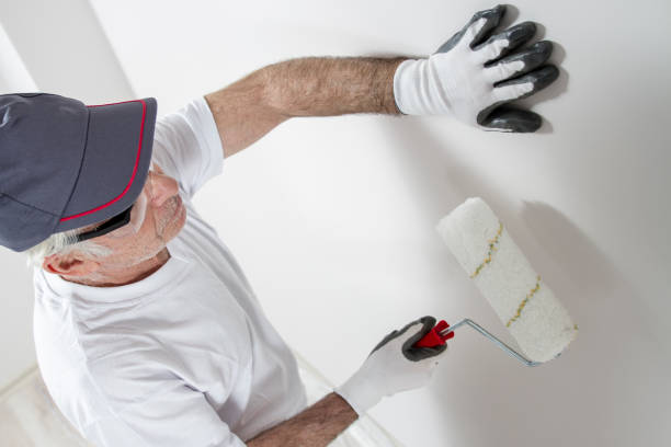 Best Fire-Damaged Drywall Repair  in Buena Park, CA